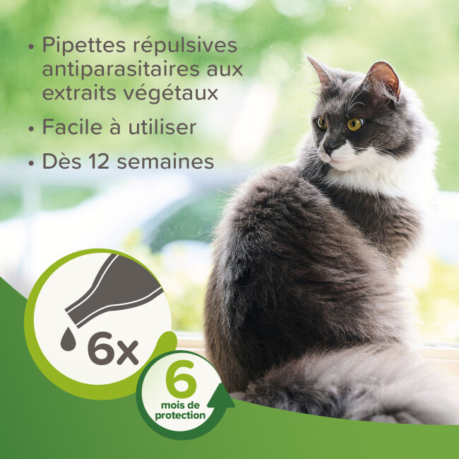 Pipettes VETOpure Beaphar antiparasitaires à l'eucalyptus pour chat