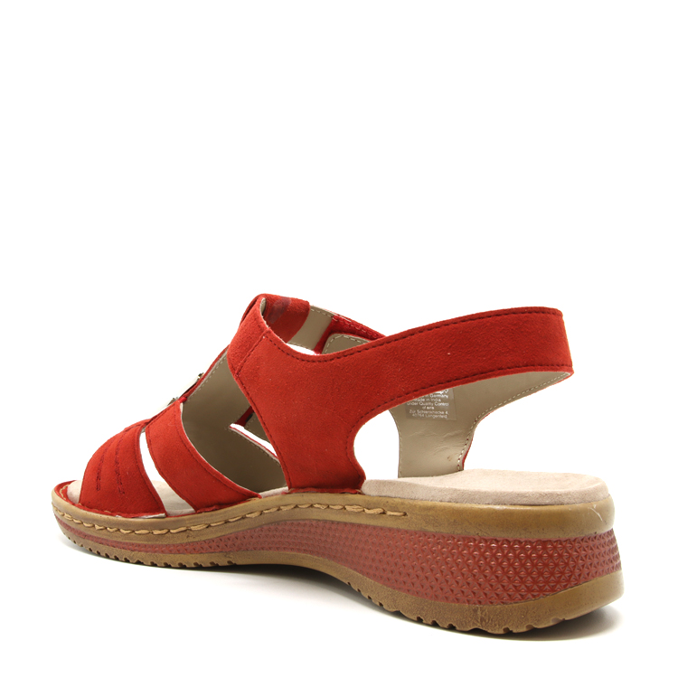 Ara Helena | ROUGE