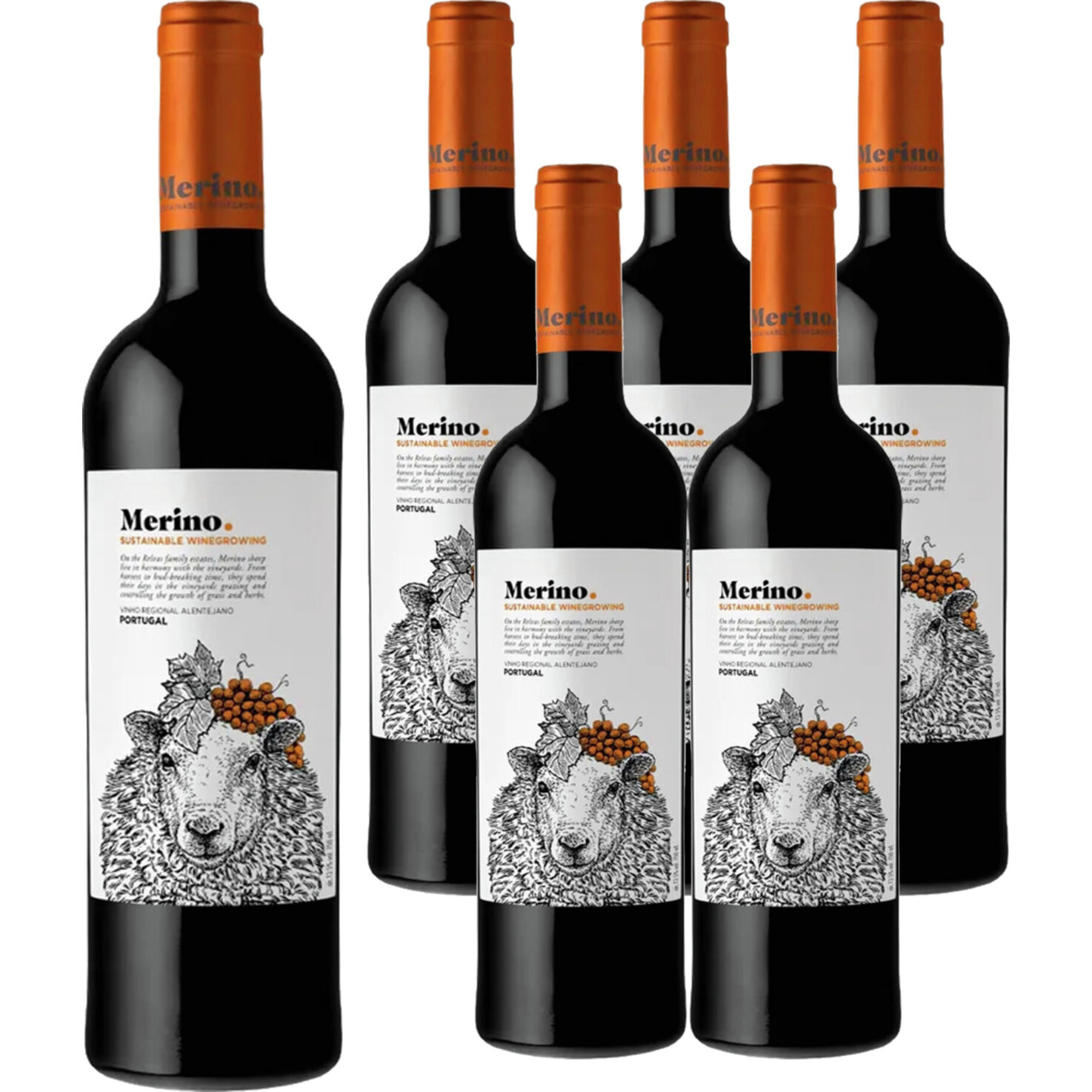 Alentejano IGP Merino Casa Relvas 6x 75cl -6x 75cl