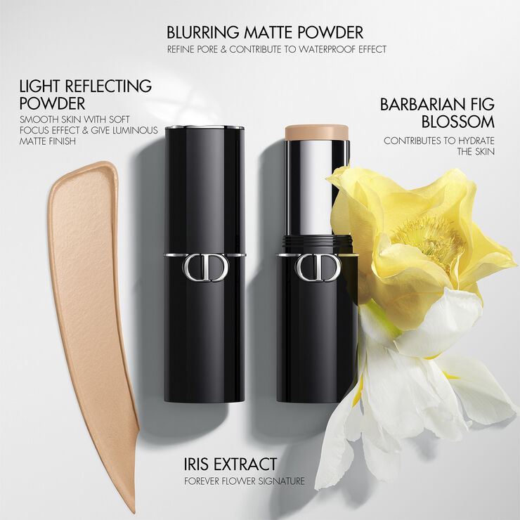 DIOR Dior Forever Skin Perfect Multi-Use Foundation Stick 1 n neutral