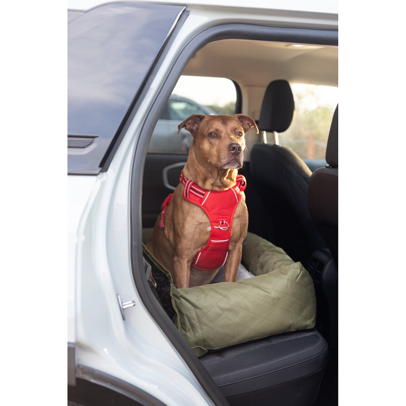 DOOG Neotech Harness RED S