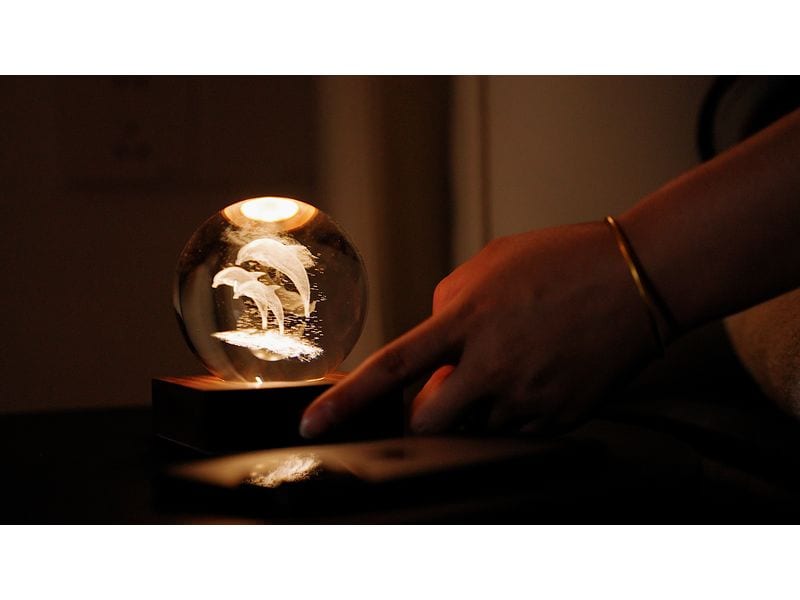 Gingko LED Stimmungslicht Amber Delfin Braun/Transparent LED Beleuchtung