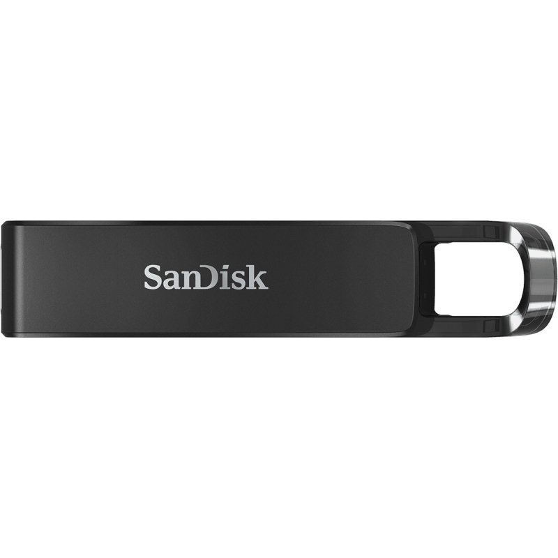 SanDisk SDCZ460-256G-G46 lecteur USB flash 256 Go USB Type-C 3.2 Gen 1 (3.1 Gen 1) Noir