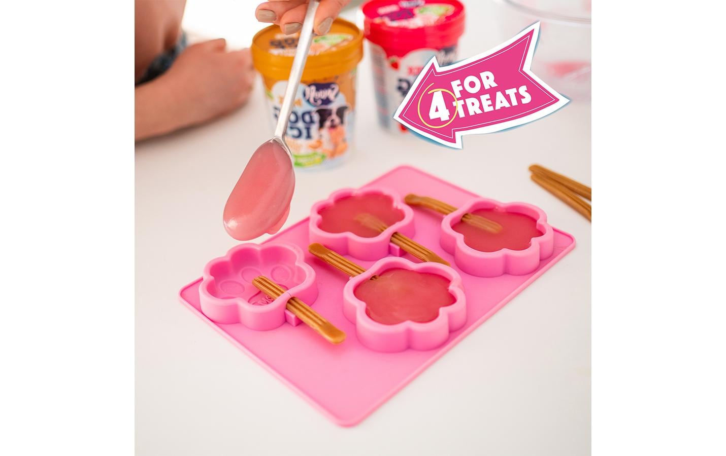 Form für Eis MSilikonform für Hundeeis