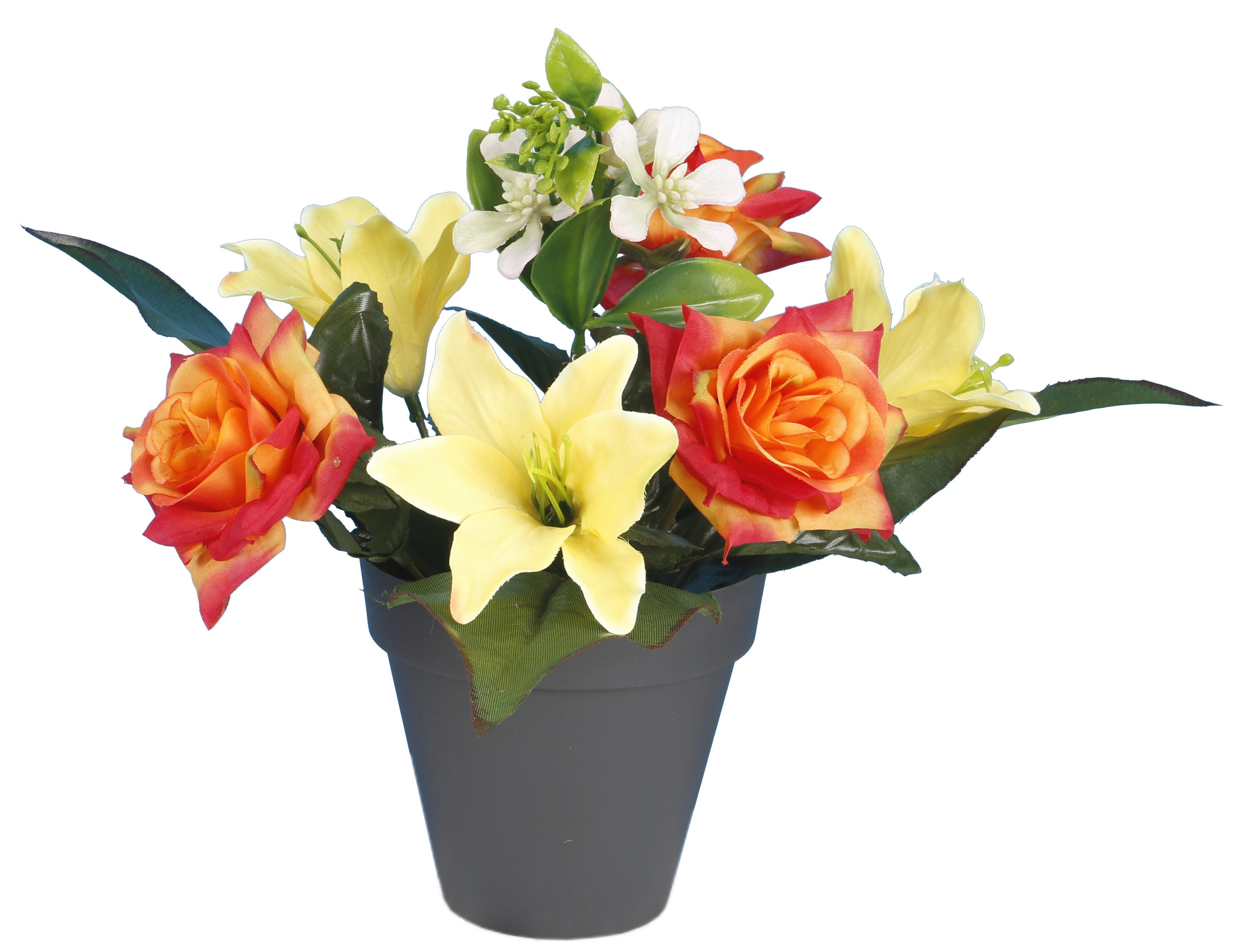 POT ROSETTES LILIUM