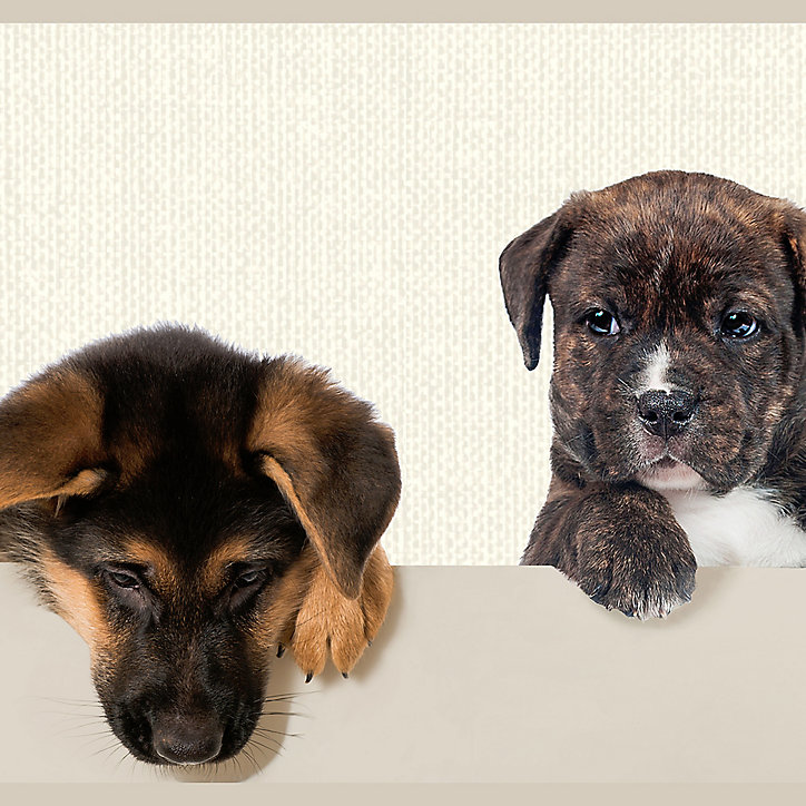 Frise adhésive Lanata GoodHome Chiens
