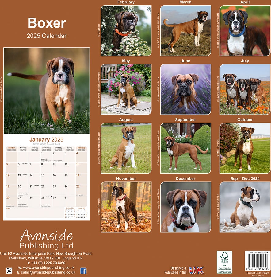 Plenty Gifts kalender boxers 30 x 30 x 0,5 cm