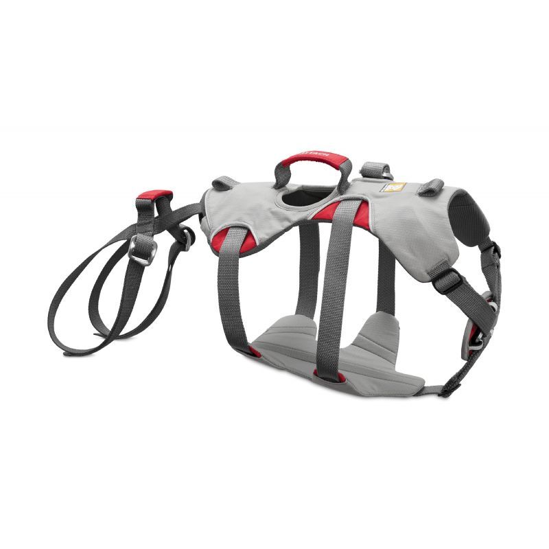 Doubleback Harness - Harnais pour chien