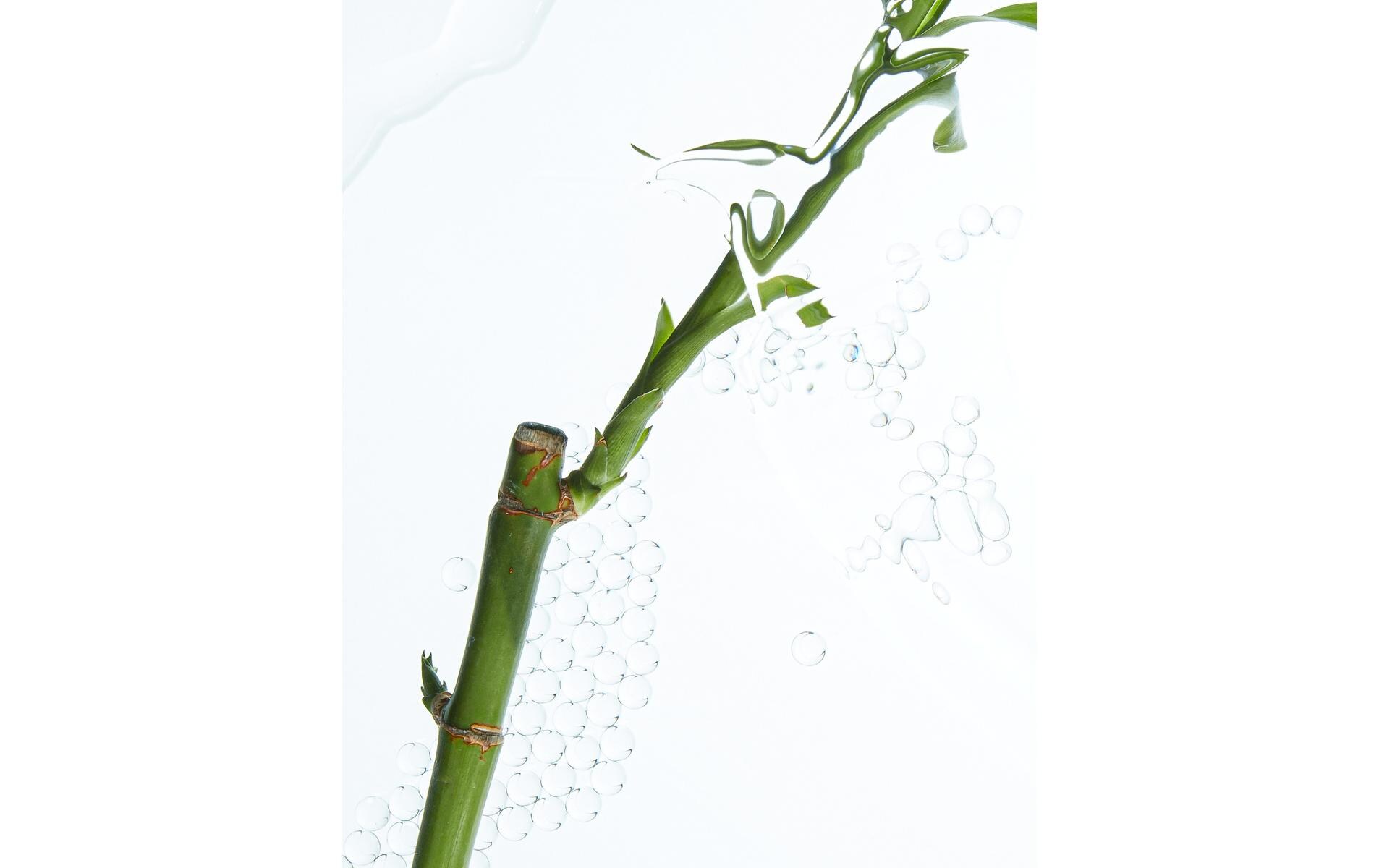 Duschgel Sensitive 250 mlPflegedusche mit Bambusextrakt pflegt und reinigt sanft