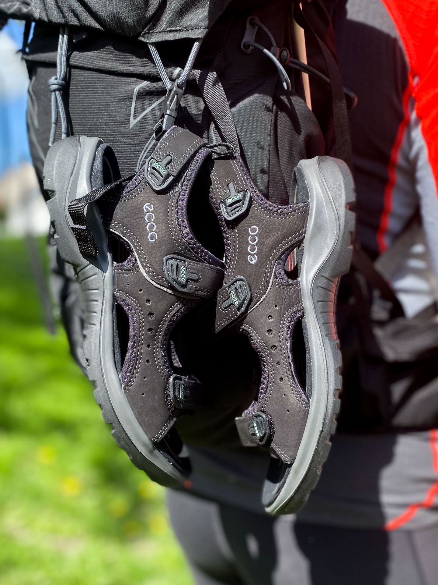 Ecco Andes II Sandal