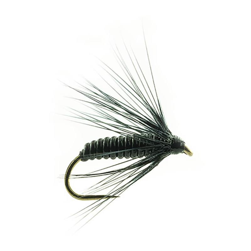 Mouche Devaux Noyee Jbno 04
