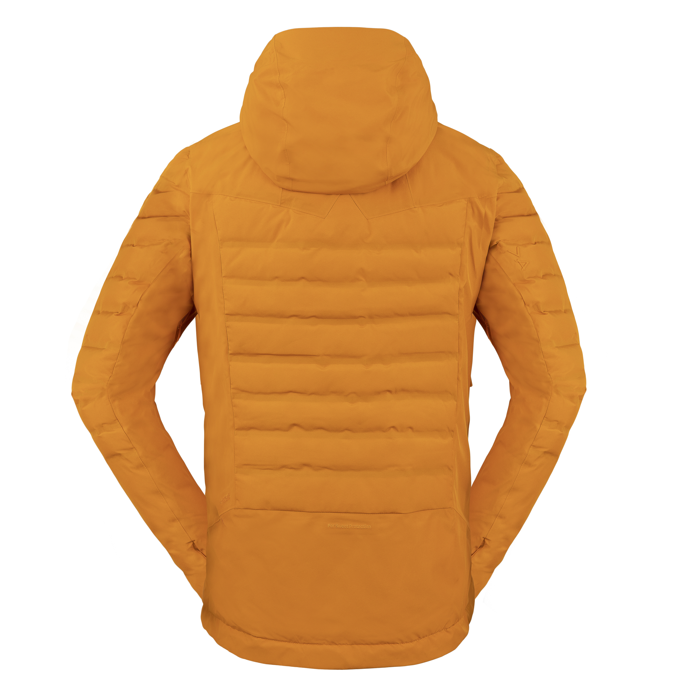 Apex GTX Infinium Down Jacket Herre Desert