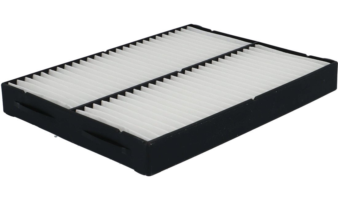 Pollenfilter, Pollenfilter