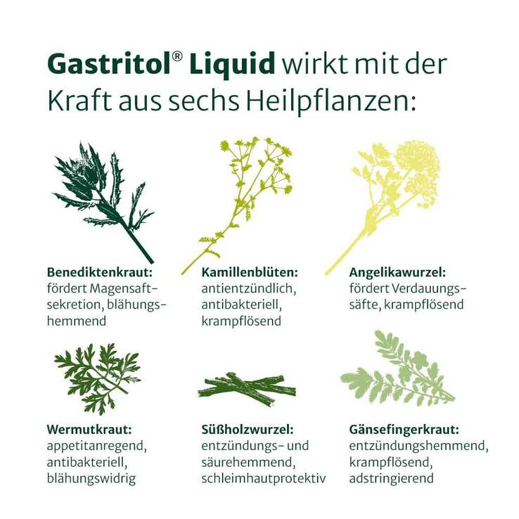 Gastritol Liquid Flüssigkeit zum Einnehmen, 100 ml