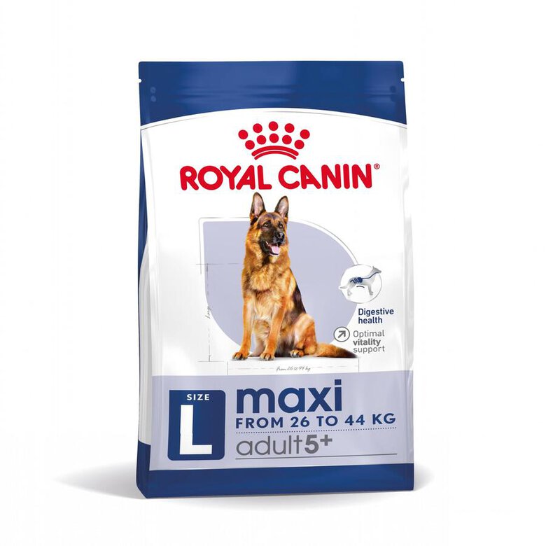 Ração Royal Canin Maxi Adult 5+ para cães idosos de raças grandes.