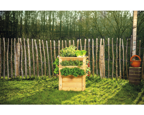 Premium verhoogde tuinbak WESTMANN maat L 65 x 65 x 73 cm naturel