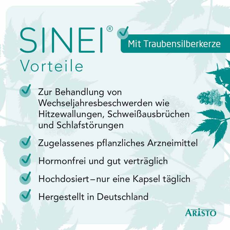 SINEI® Hartkapseln, 100 St