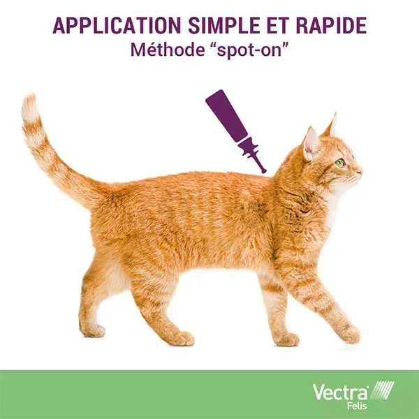 Vectra® Felis solução spot-on para gatos, 3 pipetas