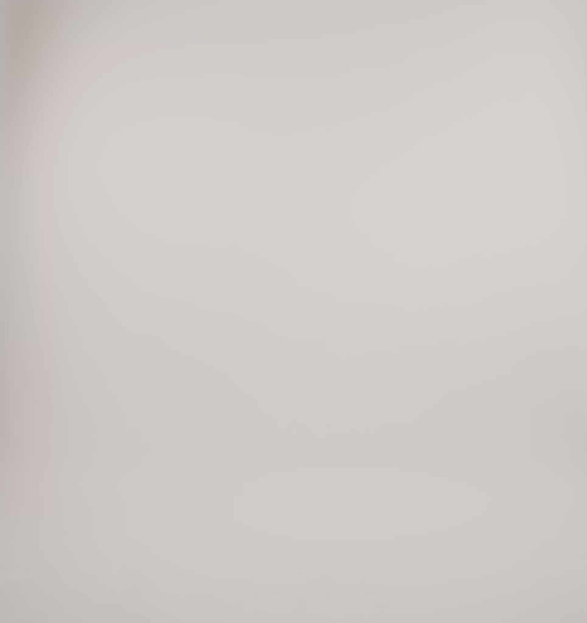 RECYCLED NYLON<br>Track Shorts