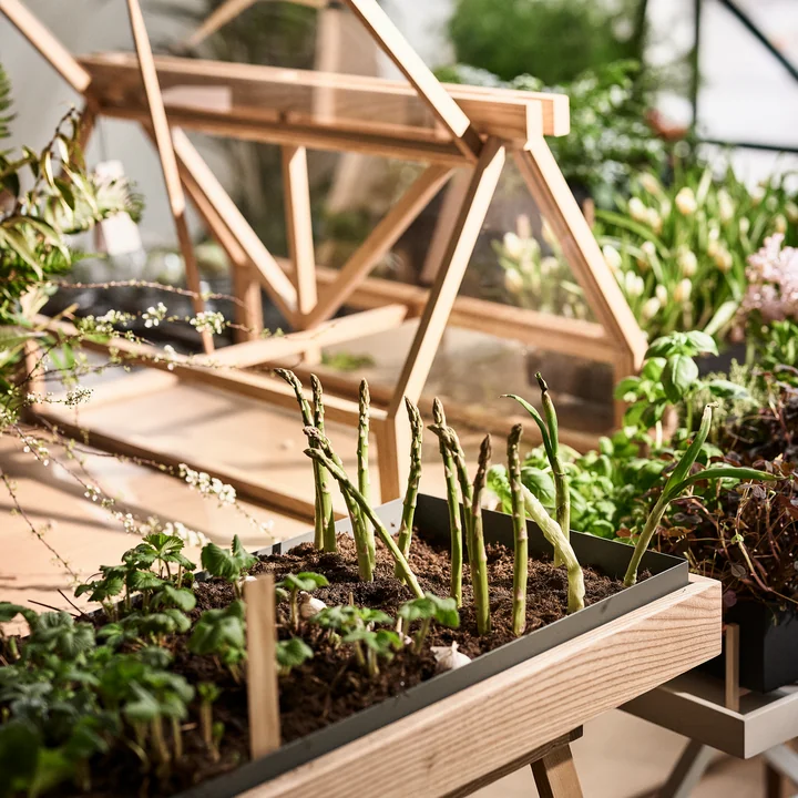 Design House Stockholm - Greenhouse, Esche (komplett)