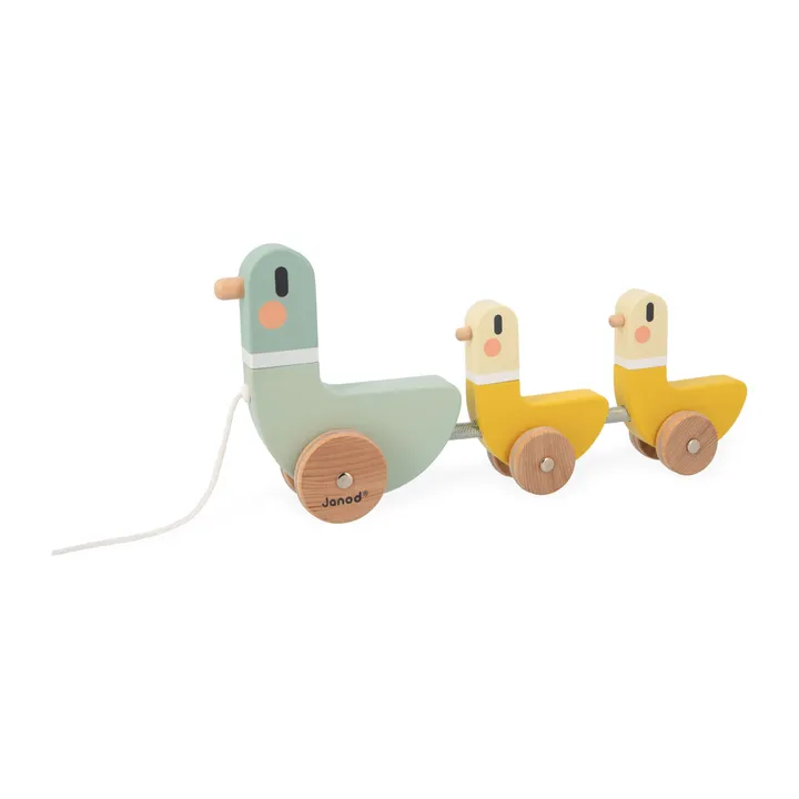 Janod Canards à Tirer