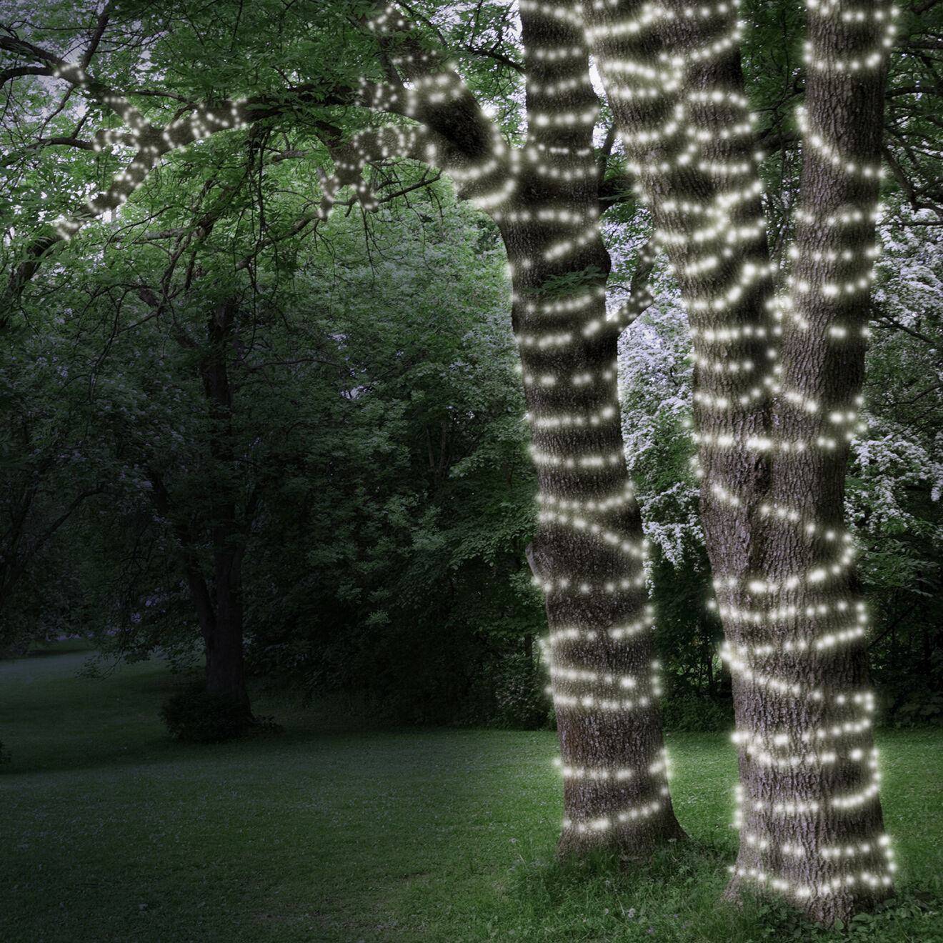Pratik Garden Guirlande solaire 400 LED blanche - 25.9 m