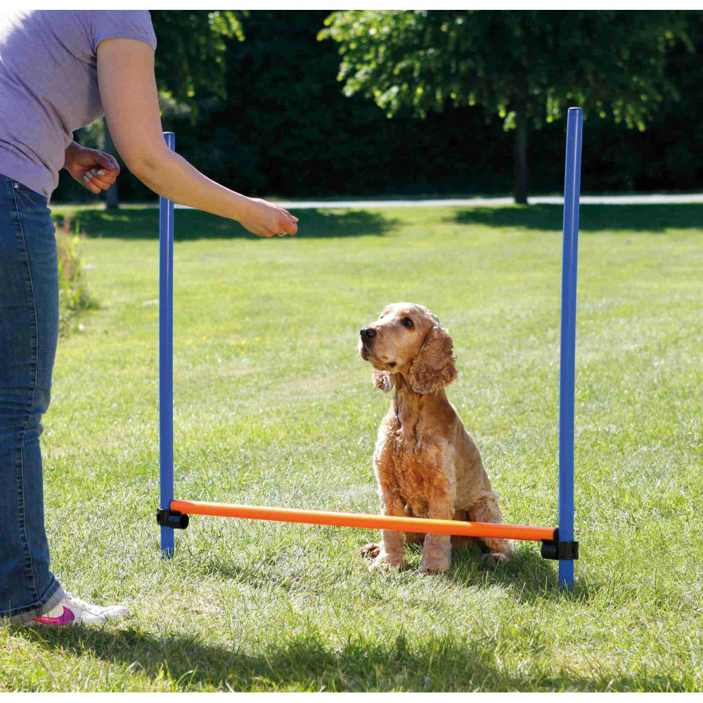 Obstacle agility pour chien 123 × 115 cm, ø 3 cm
