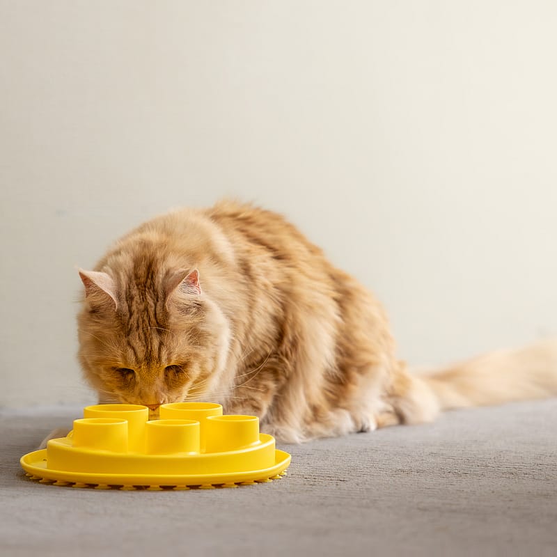 Puzzle Digger Slow Feeder Ø 25cm Kat | 13368