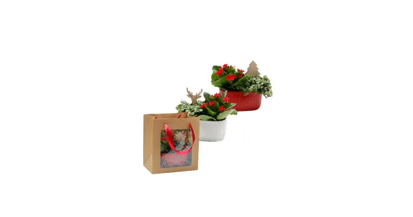 Winterliches Arrangement Geschenktasche