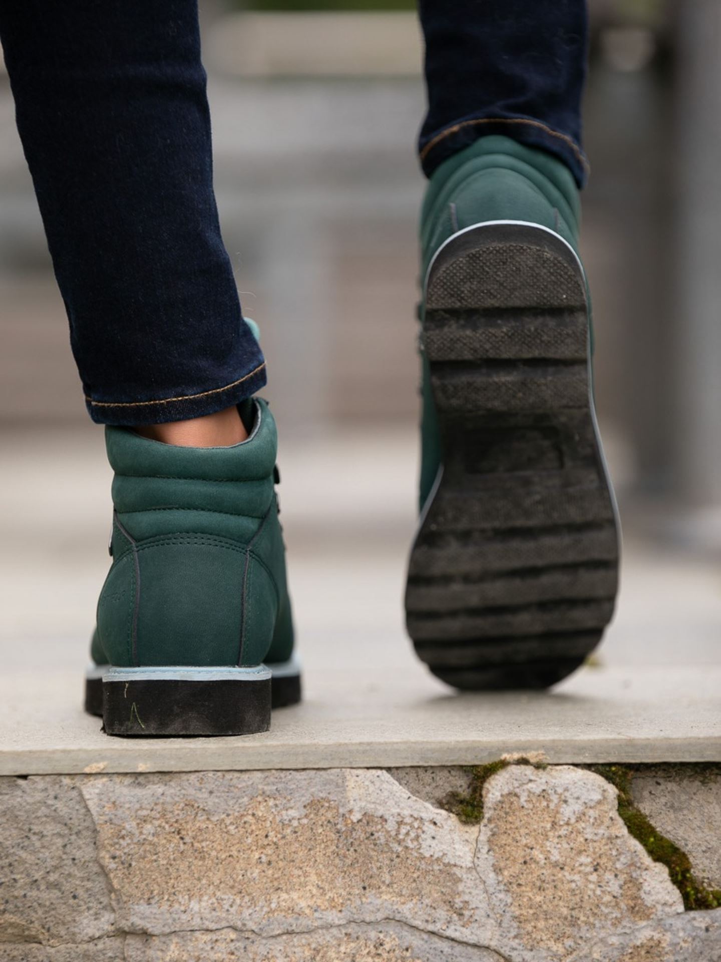 Finse Dalen Boot