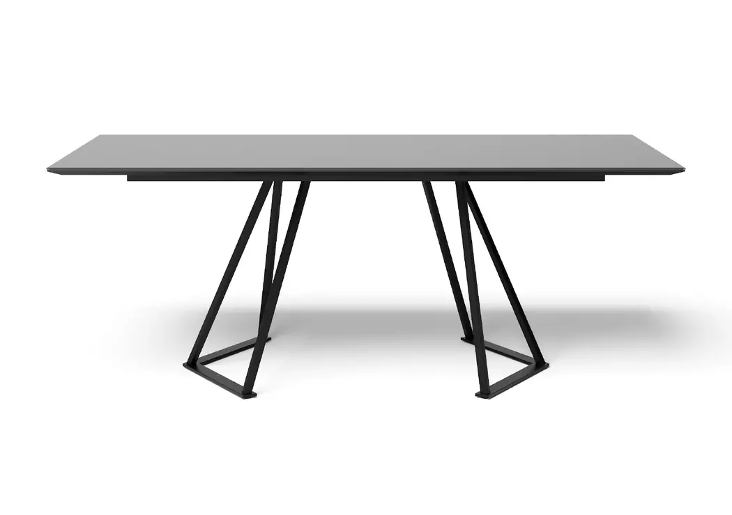 Esstisch Swing (5552) 220 x 100 cm