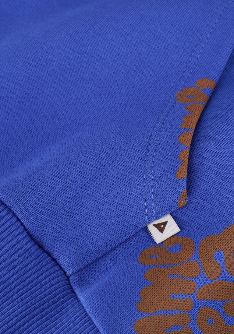 AMMEHOELA blauwe ammehoela sweater am.ernest.07