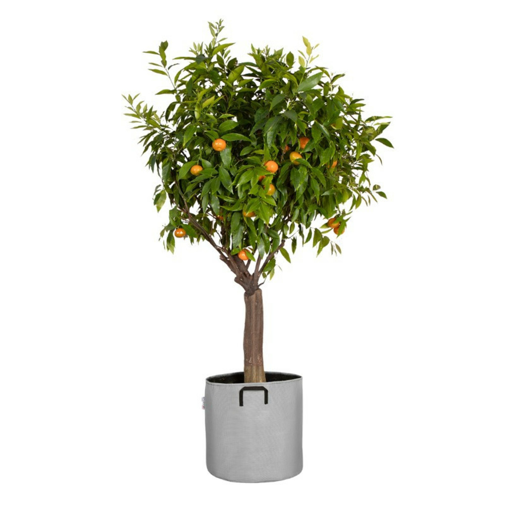 Sac à plantation respirant 40 cm gris