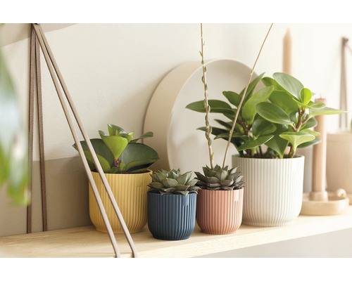 elho Vibes fold ronde mini plastic plantenbak Ø 7 cm H 6,5 cm geel