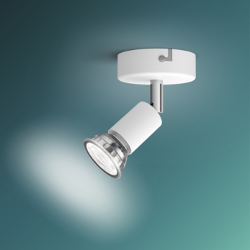 Philips Limbali opbouwspot wit 1x 50W