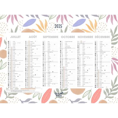 Quo Vadis - Calendrier Fantaisie - 55 x 40,5 cm - Exotique
