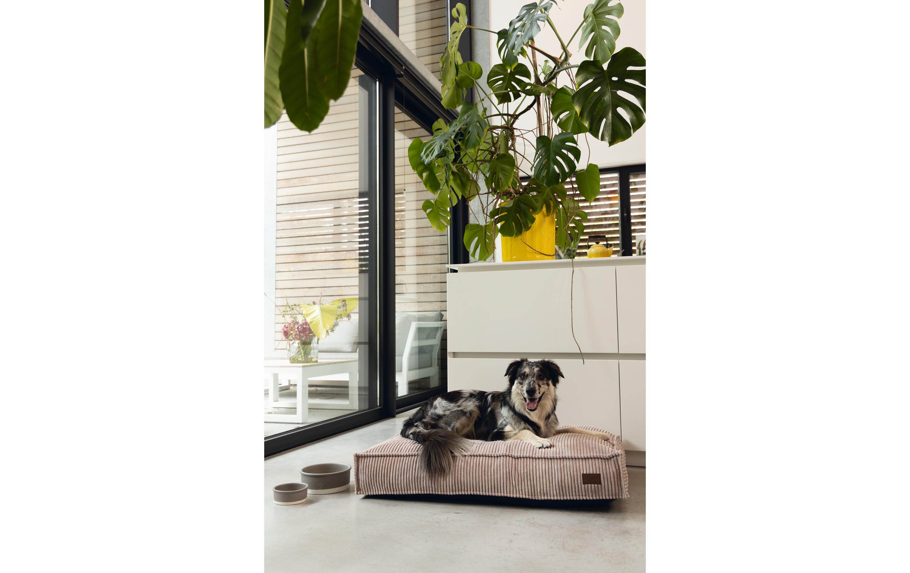 Hunde-Bett Ribbed Rosa 70x55X15cmLiegekissen aus geriffeltem Stoff mit Samtfeeling