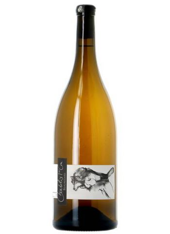 Magnum Beauregard - Pattes-Loup