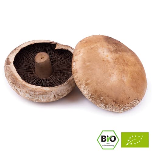 Bio Portobello Pilze, Schale