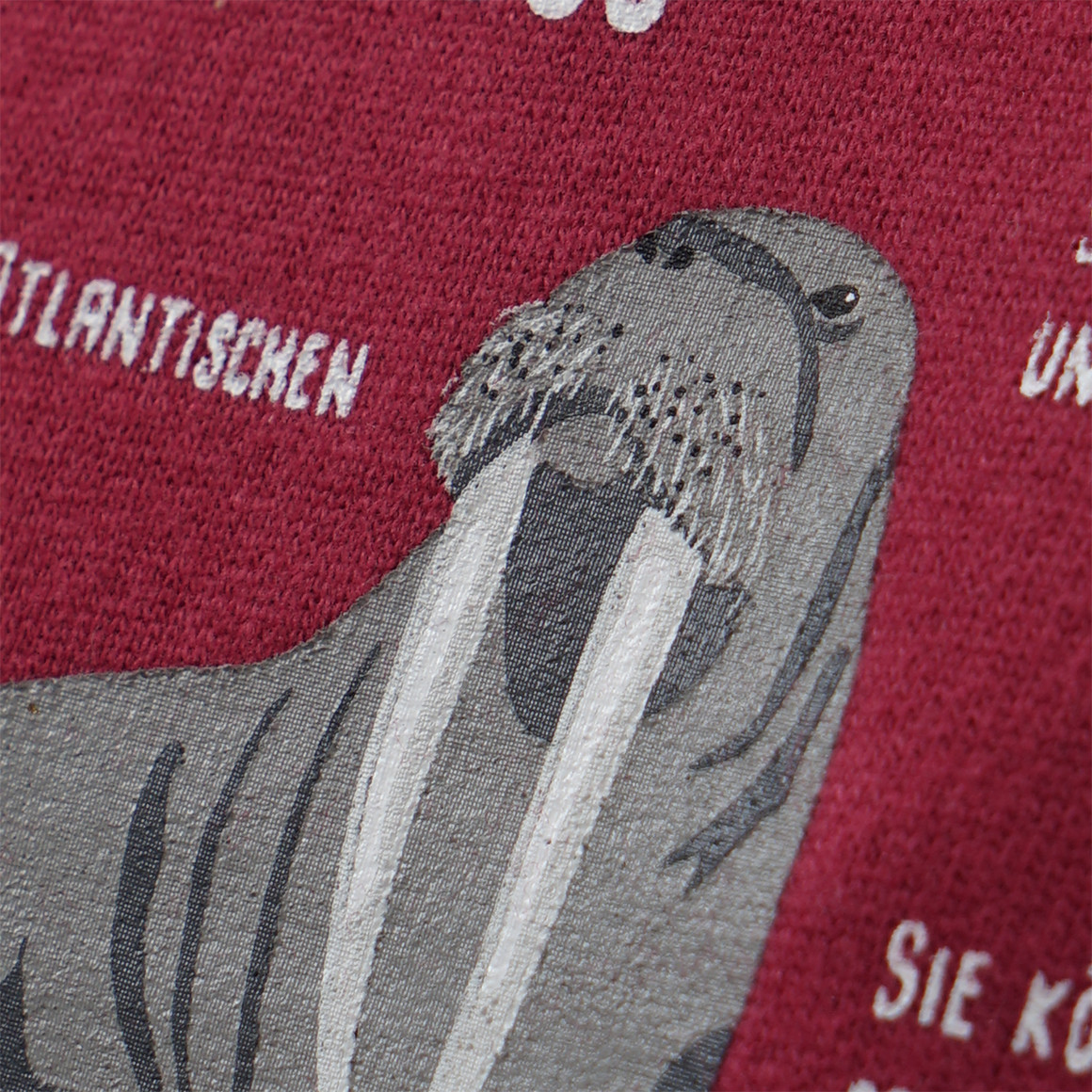 Topolino Kinder Sweatshirt mit Walross-Motiv dunkelrot