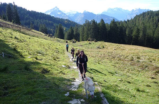 Husky-Trekking am Walensee