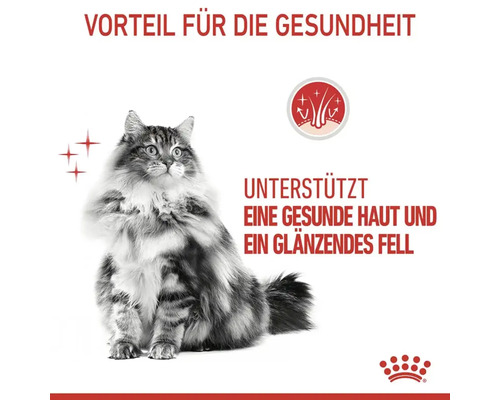 ROYAL CANIN Hair & Skin droog kattenvoer 10 kg