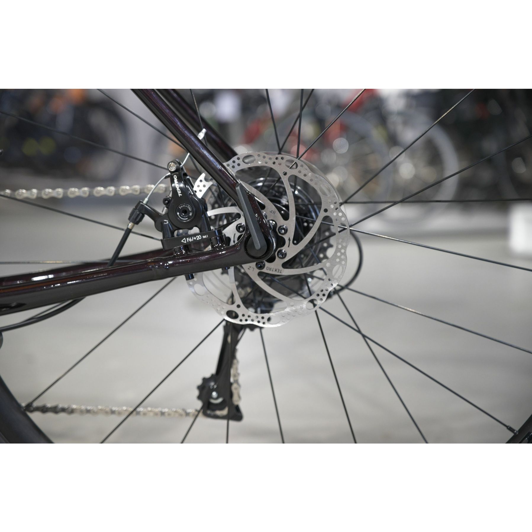 Trek Domane AL 2 Gen 4 2026