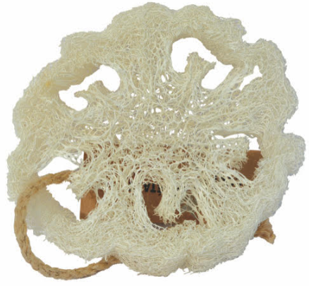 Aleppo Soap Co Loofa Natuurspons Plak 1 stuk