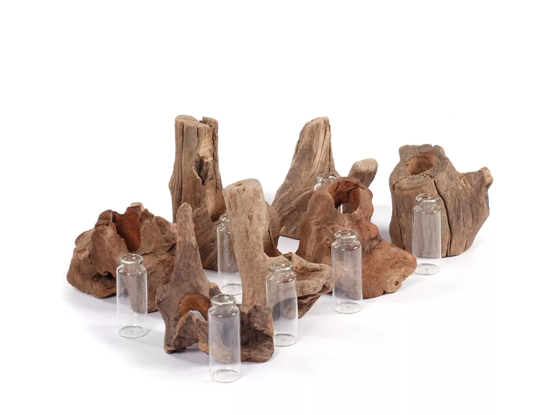 VASE Yuma 13x11 cm, bois de racine, avec insert de tube à essai couleurs naturelles