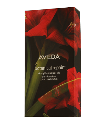 Aveda Botanical Repair Set mit Strengthening Leave-In Treatment 100ml-50ml-40ml