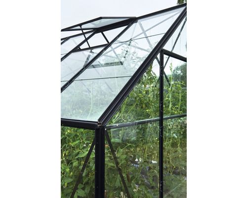 Kas Hallen Universal 128 9,9 m² Helder glas 3 mm 257 x 384 cm zwart