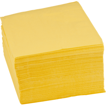 Duni Bio Tissue Napkins 2-Laags 125 Stuks