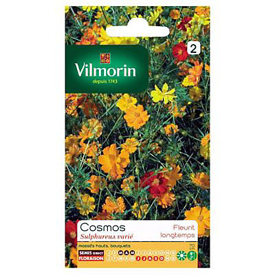 Graines de Cosmos Sulphureus Varié Vilmorin