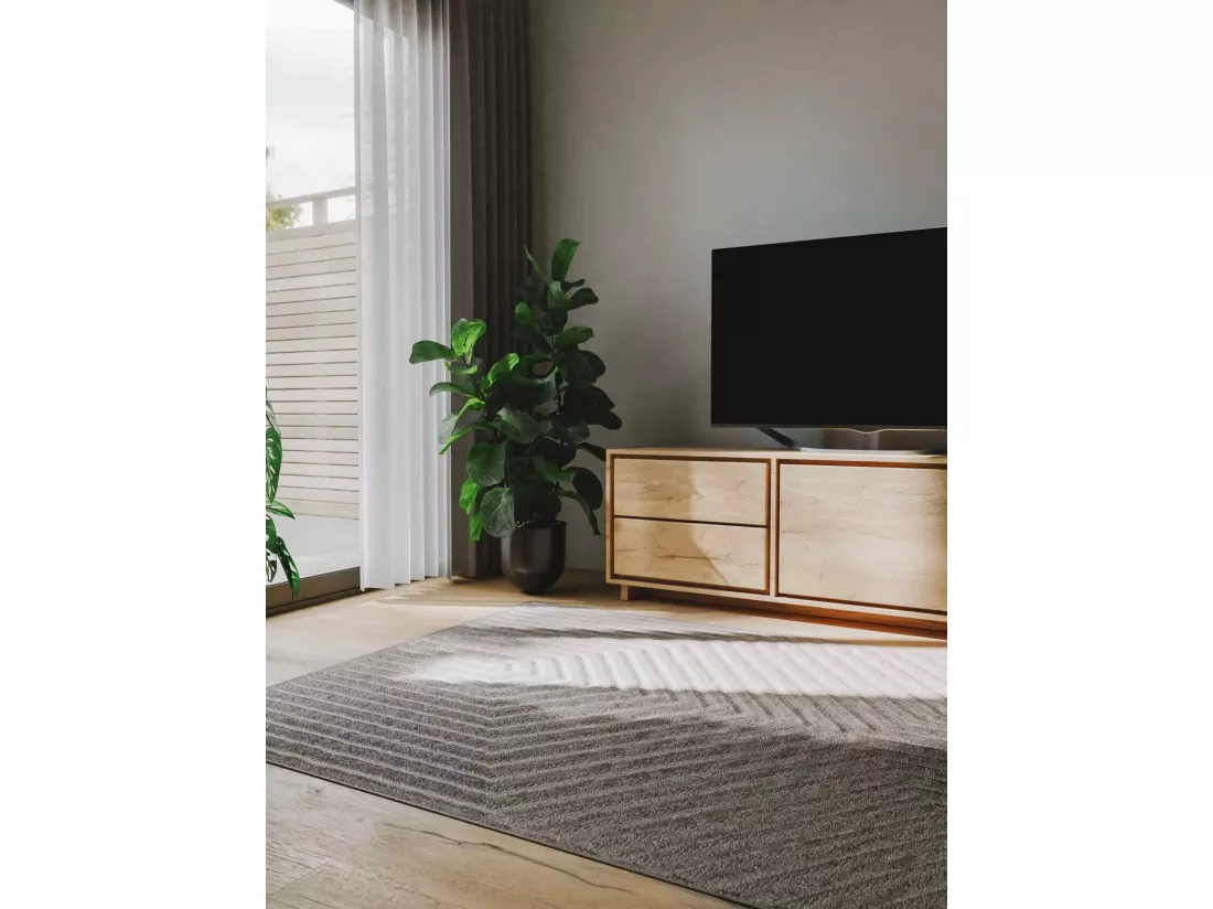 Tapis Leo Gris clair 140x200 cm